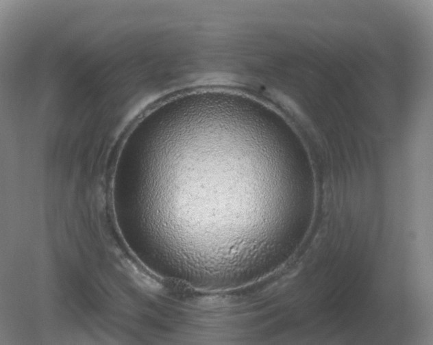 X0000081321212200701181919