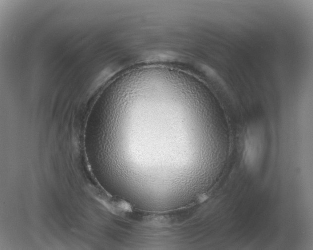 X0000081321217200701181919