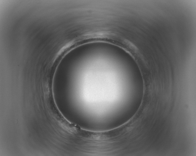 X0000081321218200701181919
