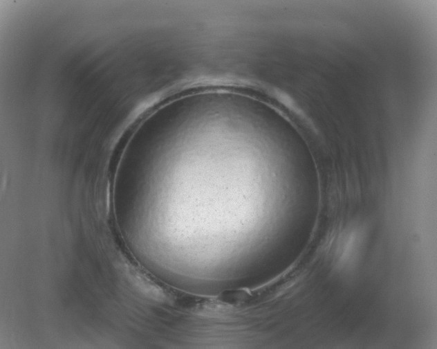 X0000081321221200701181919