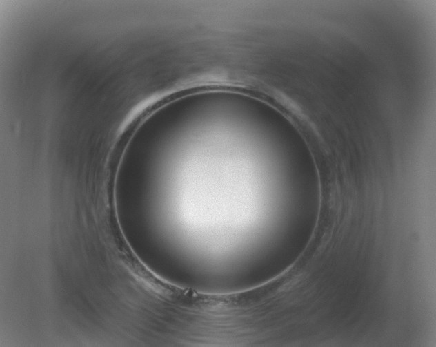 X0000081321222200701181919
