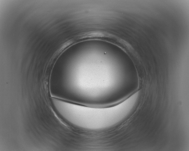 X0000081321225200701181919