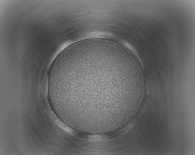 X0000081321227200701181920