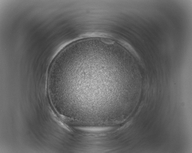 X0000081321228200701181920