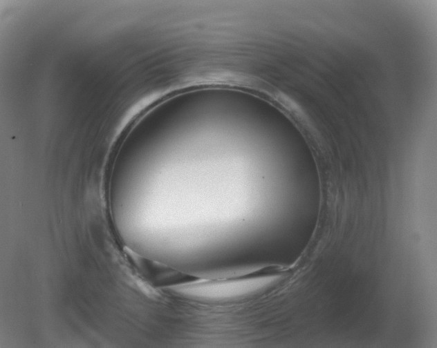 X0000081321230200701181920