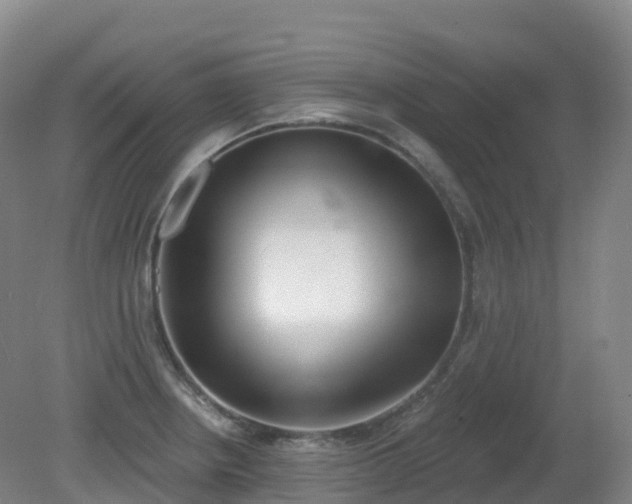 X0000081321234200701181920