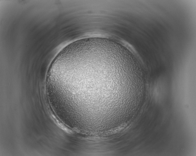 X0000081321236200701181920