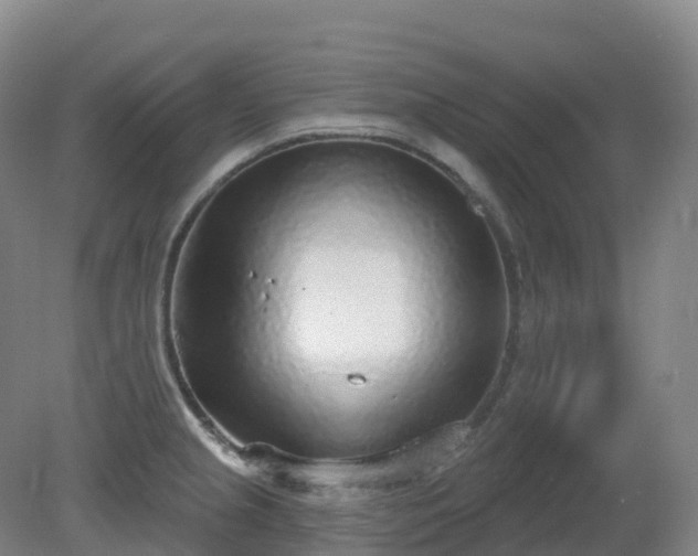 X0000081321237200701181920