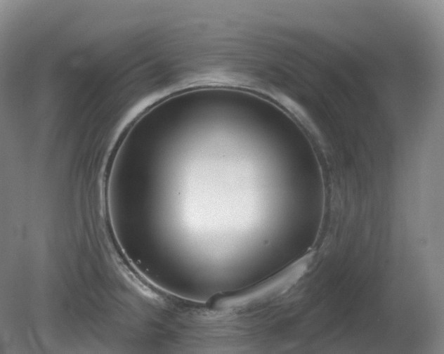 X0000081321238200701181920