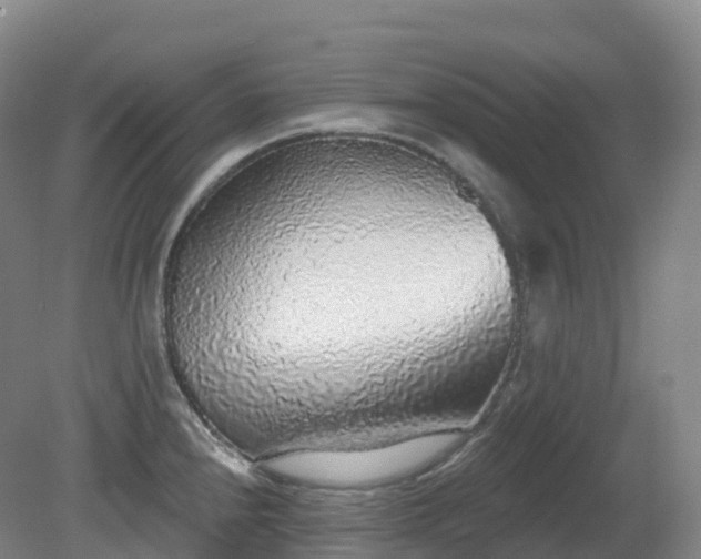 X0000081321240200701181920
