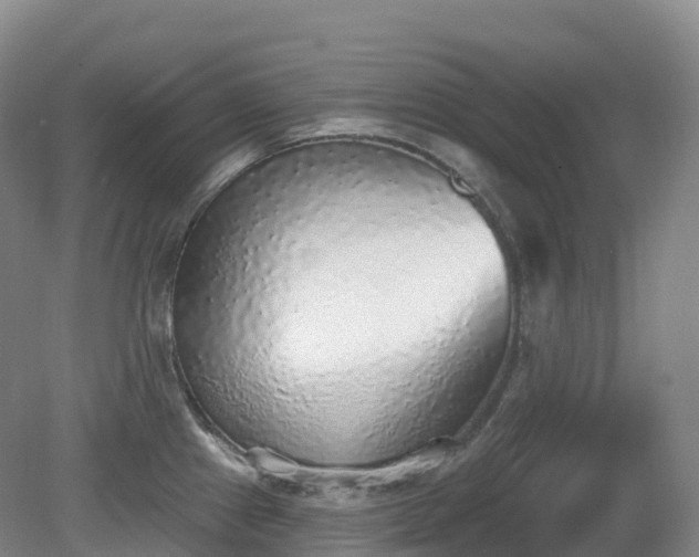 X0000081321241200701181920