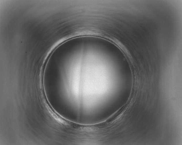 X0000081321246200701181920