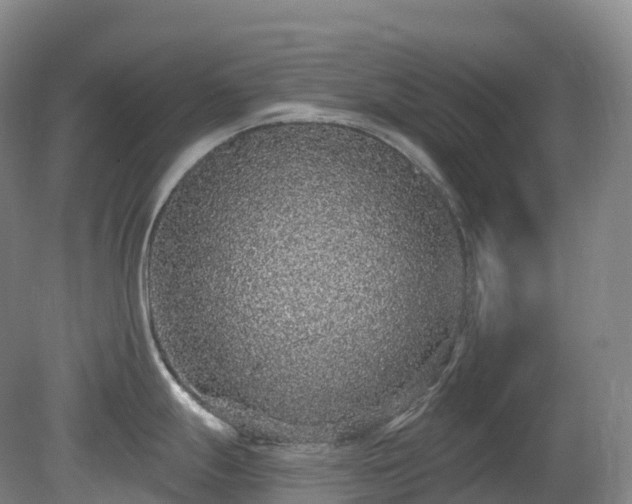 X0000081321247200701181920