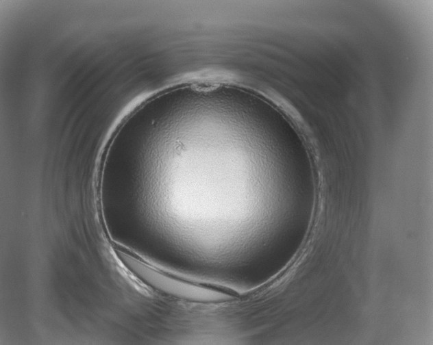 X0000081321248200701181920