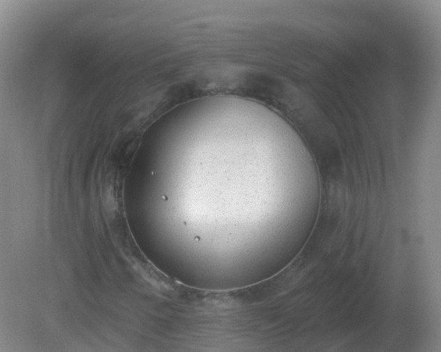 X0000081321250200701181919