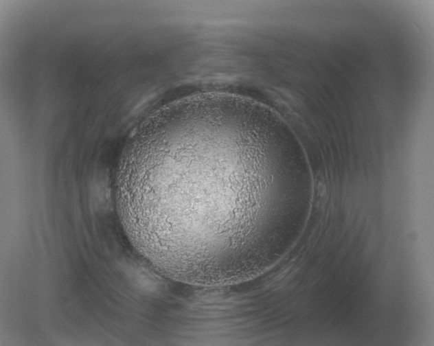 X0000081321252200701181919