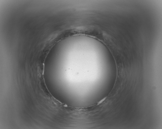 X0000081321253200701181919