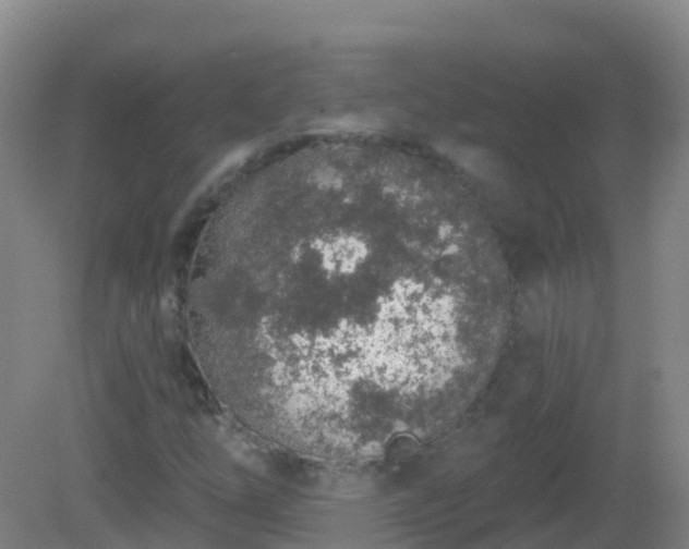 X0000081321254200701181919