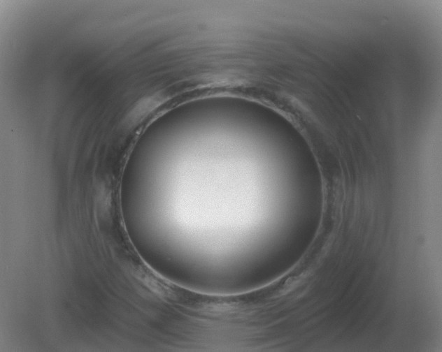 X0000081321257200701181919