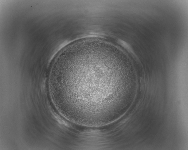 X0000081321260200701181919