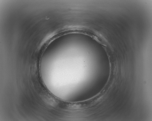 X0000081321261200701181919
