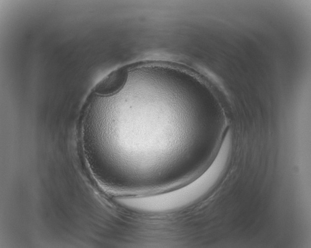 X0000081321264200701181919
