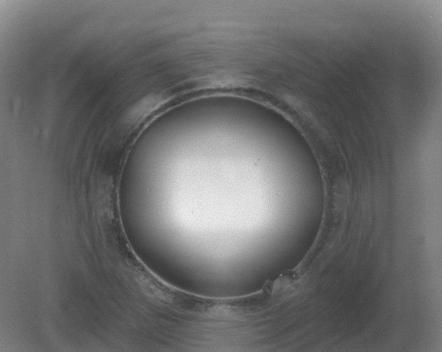 X0000081321265200701181919