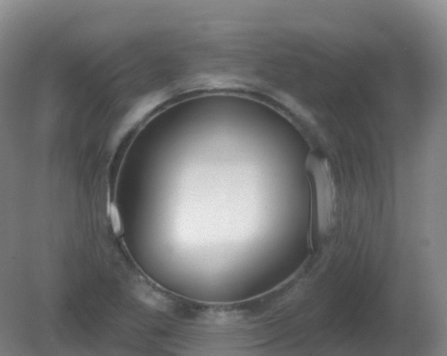 X0000081321269200701181919