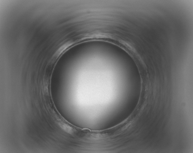 X0000081321273200701181919