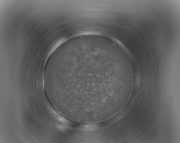 X0000081321274200701181919