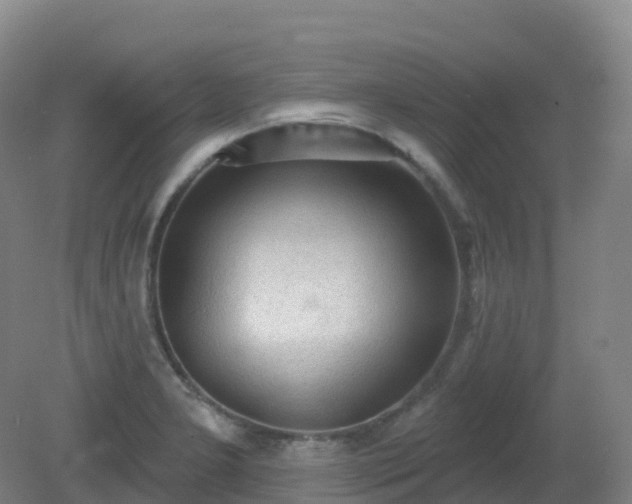 X0000081321277200701181919