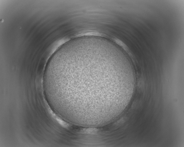 X0000081321282200701181918
