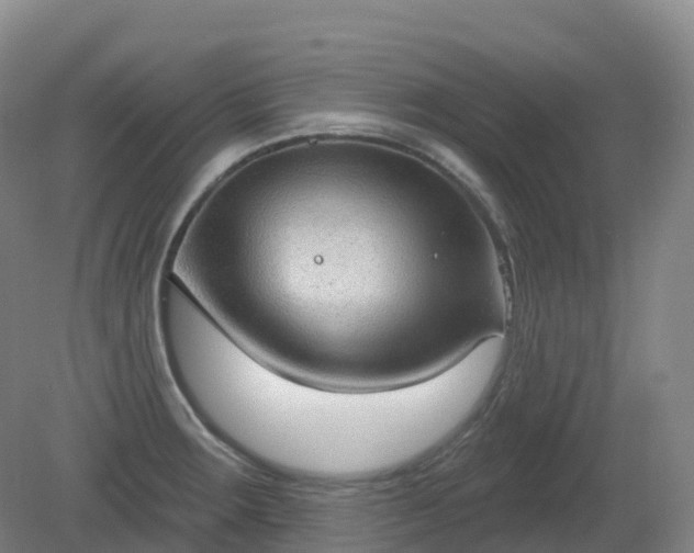 X0000081321283200701181918