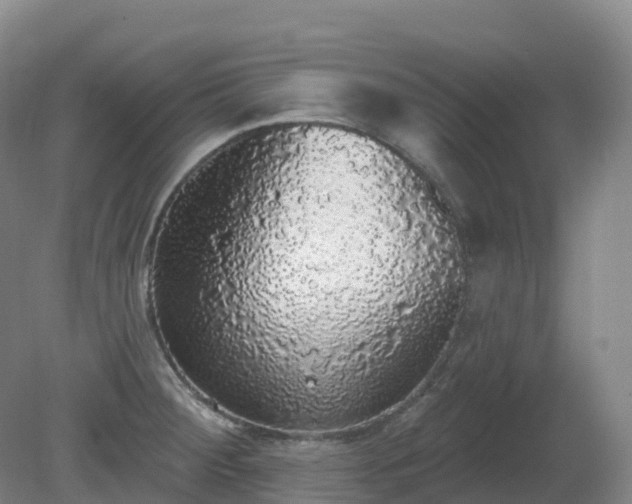 X0000081321284200701181918