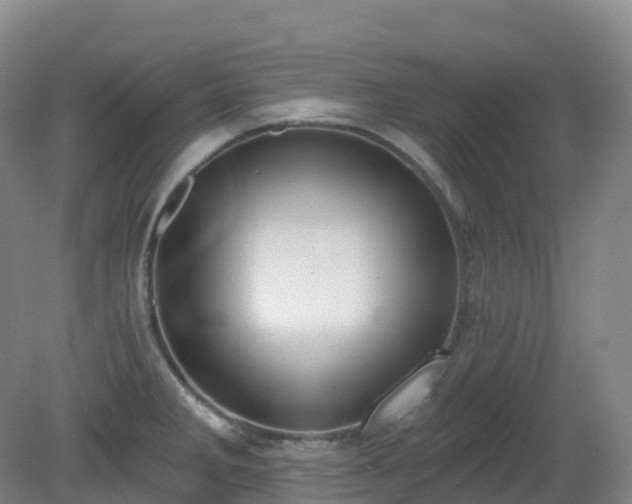 X0000081321285200701181918