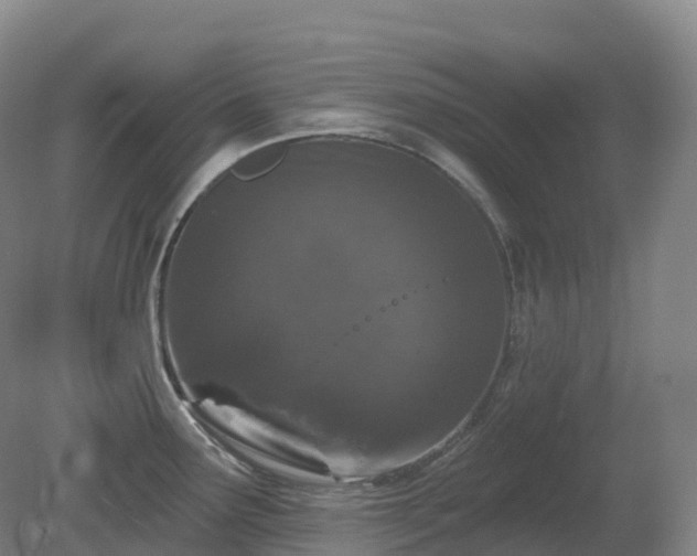 X0000081321291200701181918