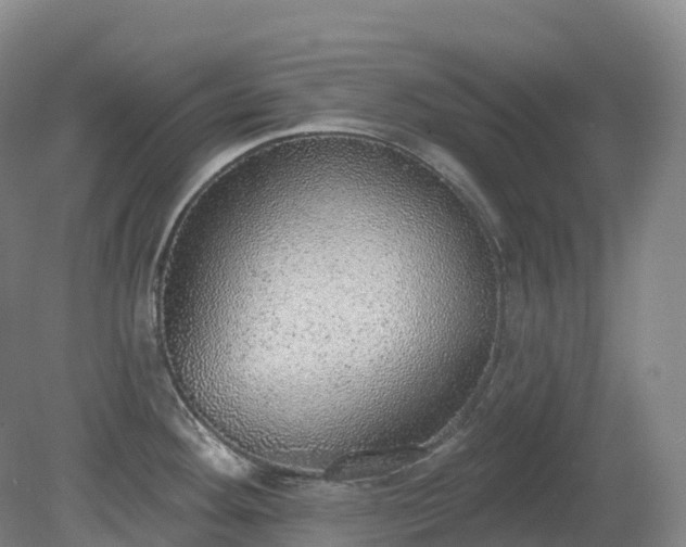 X0000081321292200701181918