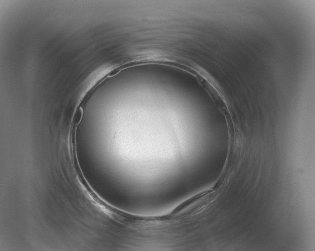 X0000081321293200701181918