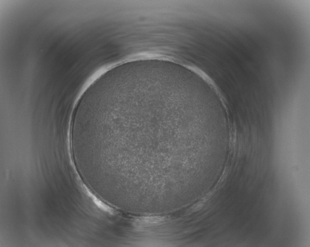 X0000081321294200701181918