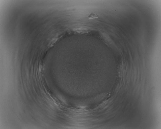 X0000081321298200701181917