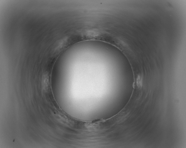 X0000081321299200701181917