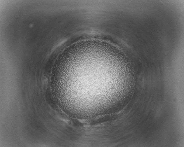 X0000081321302200701181918