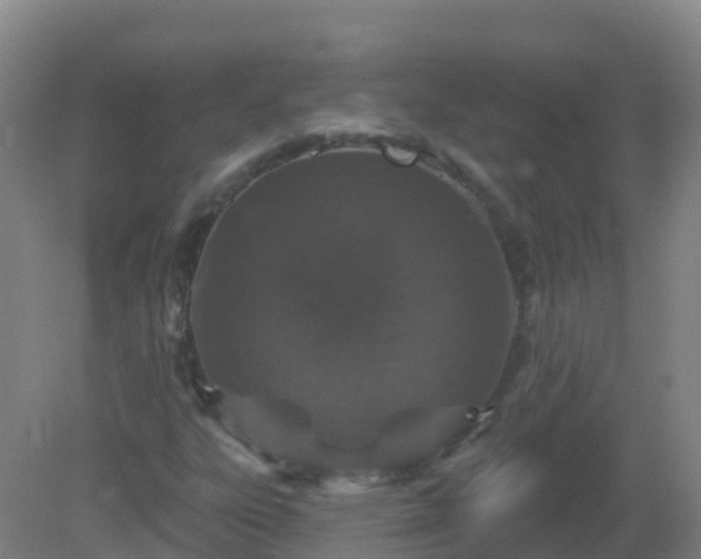 X0000081321303200701181918