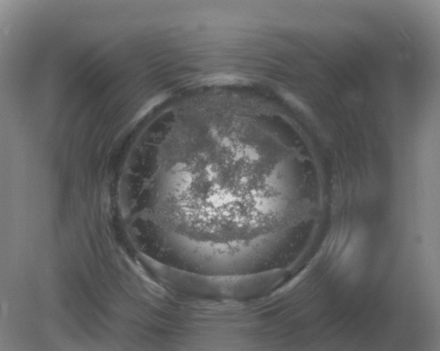 X0000081321305200701181918