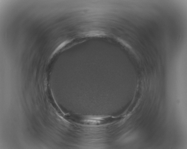 X0000081321306200701181918