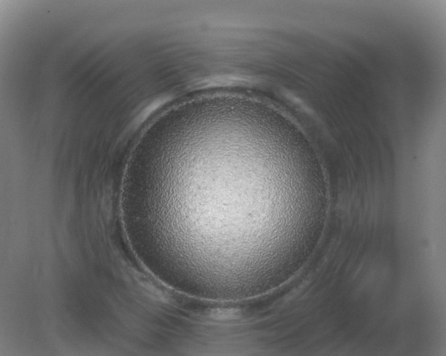 X0000081321313200701181918