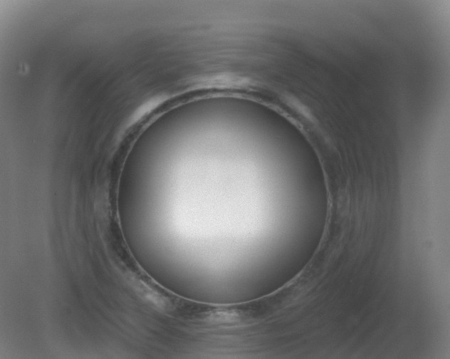 X0000081321315200701181918