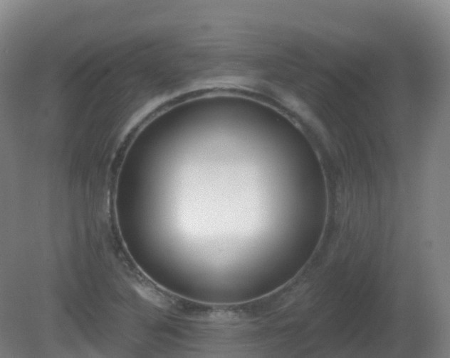 X0000081321316200701181918