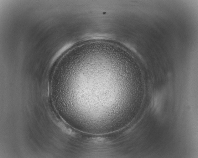 X0000081321317200701181918