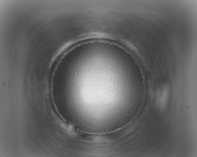 X0000081321318200701181918